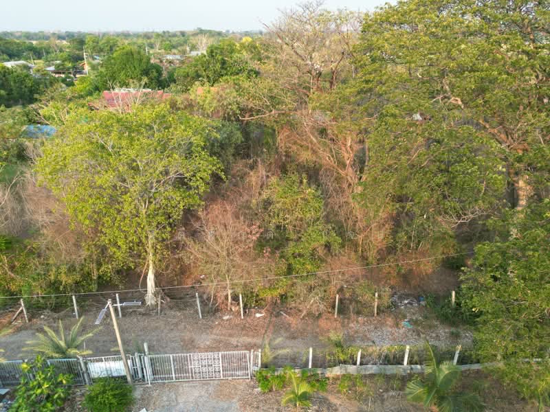 ที่ดินบ้านหมอ, Saraburi, Bang Khamot, Ban Mo, Saraburi, , 948 sqm, Land For Sale, by TITISAK Jane, 500430674 - DDproperty.com