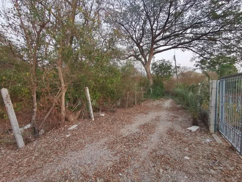 ที่ดินบ้านหมอ, Saraburi, Bang Khamot, Ban Mo, Saraburi, , 948 sqm, Land For Sale, by TITISAK Jane, 500430674 - DDproperty.com