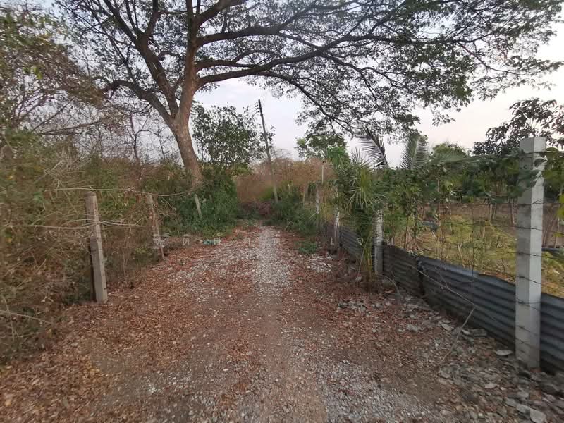 ที่ดินบ้านหมอ, Saraburi, Bang Khamot, Ban Mo, Saraburi, , 948 sqm, Land For Sale, by TITISAK Jane, 500430674 - DDproperty.com