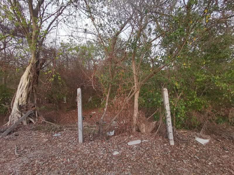 ที่ดินบ้านหมอ, Saraburi, Bang Khamot, Ban Mo, Saraburi, , 948 sqm, Land For Sale, by TITISAK Jane, 500430674 - DDproperty.com