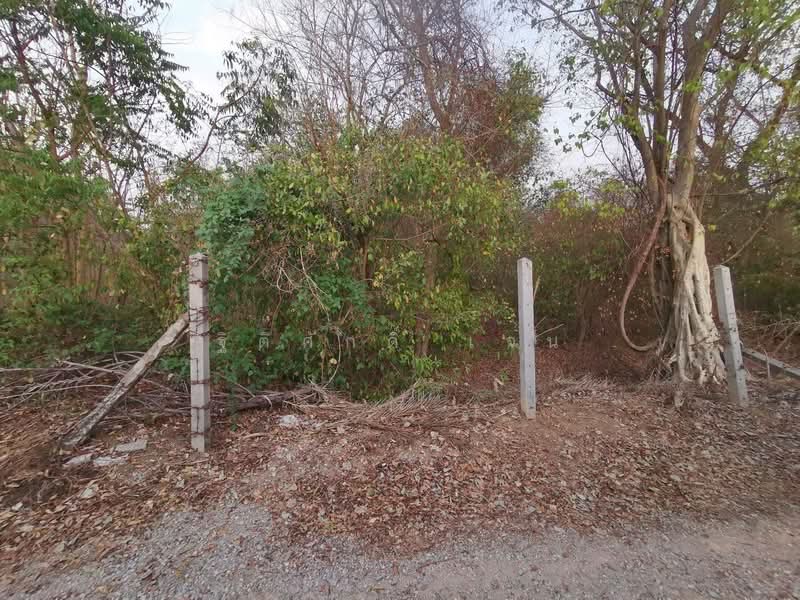 ที่ดินบ้านหมอ, Saraburi, Bang Khamot, Ban Mo, Saraburi, , 948 sqm, Land For Sale, by TITISAK Jane, 500430674 - DDproperty.com