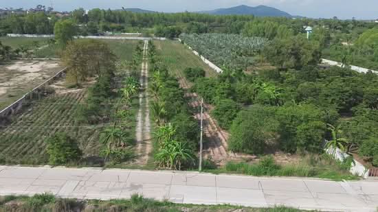 land for sale 210 Sq.wha, Rayong, Ban Zhang, Ban Chang, Rayong, , 840 sqm, Land For Sale, by คุณ เรณู, 500430735 - DDproperty.com