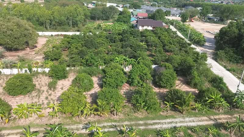 land for sale 210 Sq.wha, Rayong, Ban Zhang, Ban Chang, Rayong, , 840 sqm, Land For Sale, by คุณ เรณู, 500430735 - DDproperty.com