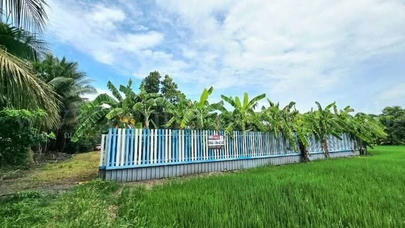 คลองบางเตย, ปทุมธานี, คลองควาย, สามโคก, ปทุมธานี, 1,748 ตร.ม., ที่ดิน ขาย, โดย คุณ ศันสนีย์ ( เก๋ ), 500430749 - DDproperty.com