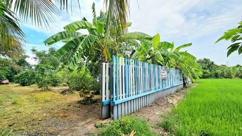 คลองบางเตย, ปทุมธานี, คลองควาย, สามโคก, ปทุมธานี, 1,748 ตร.ม., ที่ดิน ขาย, โดย คุณ ศันสนีย์ ( เก๋ ), 500430749 - DDproperty.com