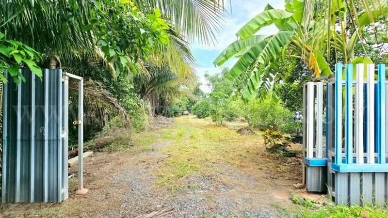 คลองบางเตย, ปทุมธานี, คลองควาย, สามโคก, ปทุมธานี, 1,748 ตร.ม., ที่ดิน ขาย, โดย คุณ ศันสนีย์ ( เก๋ ), 500430749 - DDproperty.com