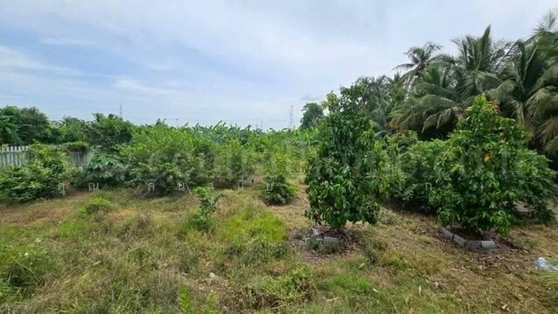 คลองบางเตย, Pathum Thani, คลองควาย, Khlong Khwai, Sam Khok, Pathum Thani, , 1,748 sqm, Land For Sale, by คุณ ศันสนีย์  ( เก๋ ), 500430749 - DDproperty.com