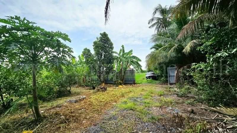 คลองบางเตย, Pathum Thani, คลองควาย, Khlong Khwai, Sam Khok, Pathum Thani, , 1,748 sqm, Land For Sale, by คุณ ศันสนีย์  ( เก๋ ), 500430749 - DDproperty.com