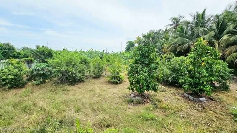 คลองบางเตย, Pathum Thani, คลองควาย, Khlong Khwai, Sam Khok, Pathum Thani, , 1,748 sqm, Land For Sale, by คุณ ศันสนีย์  ( เก๋ ), 500430749 - DDproperty.com