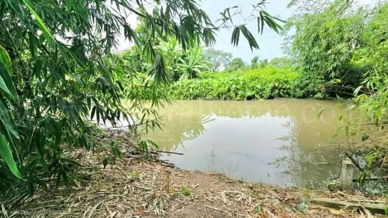 คลองบางเตย, Pathum Thani, คลองควาย, Khlong Khwai, Sam Khok, Pathum Thani, , 1,748 sqm, Land For Sale, by คุณ ศันสนีย์  ( เก๋ ), 500430749 - DDproperty.com