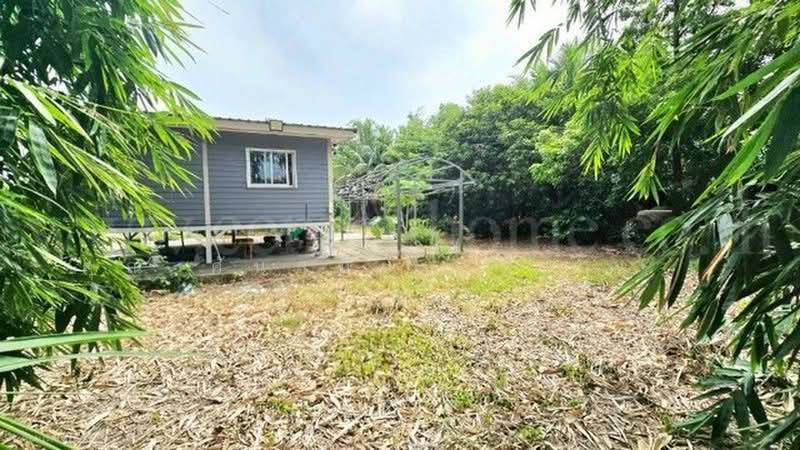 คลองบางเตย, Pathum Thani, คลองควาย, Khlong Khwai, Sam Khok, Pathum Thani, , 1,748 sqm, Land For Sale, by คุณ ศันสนีย์  ( เก๋ ), 500430749 - DDproperty.com