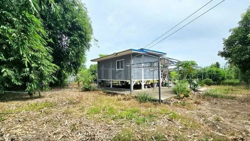 คลองบางเตย, ปทุมธานี, คลองควาย, สามโคก, ปทุมธานี, 1,748 ตร.ม., ที่ดิน ขาย, โดย คุณ ศันสนีย์ ( เก๋ ), 500430749 - DDproperty.com