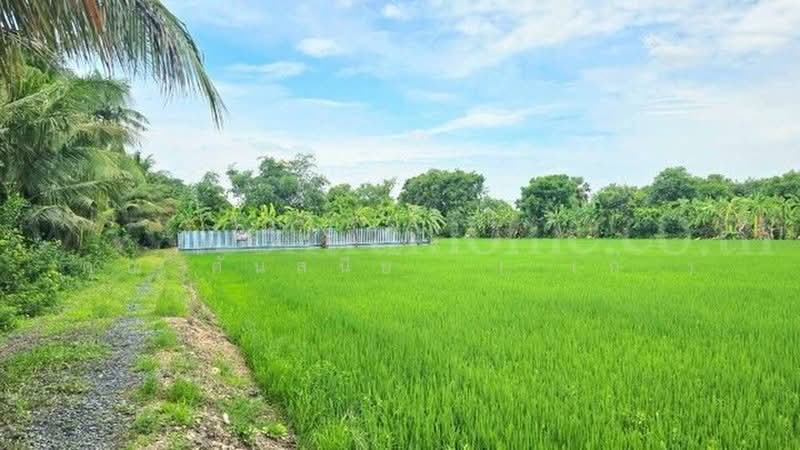 คลองบางเตย, Pathum Thani, คลองควาย, Khlong Khwai, Sam Khok, Pathum Thani, , 1,748 sqm, Land For Sale, by คุณ ศันสนีย์  ( เก๋ ), 500430749 - DDproperty.com
