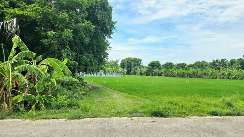 คลองบางเตย, Pathum Thani, คลองควาย, Khlong Khwai, Sam Khok, Pathum Thani, , 1,748 sqm, Land For Sale, by คุณ ศันสนีย์  ( เก๋ ), 500430749 - DDproperty.com