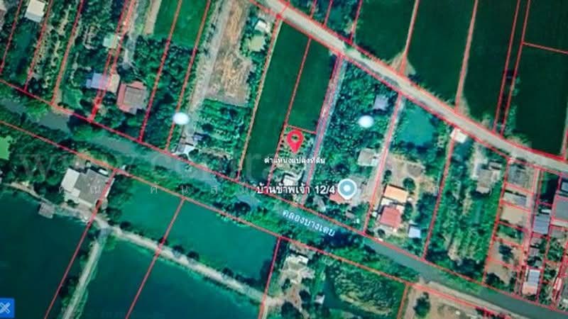 คลองบางเตย, ปทุมธานี, คลองควาย, สามโคก, ปทุมธานี, 1,748 ตร.ม., ที่ดิน ขาย, โดย คุณ ศันสนีย์ ( เก๋ ), 500430749 - DDproperty.com