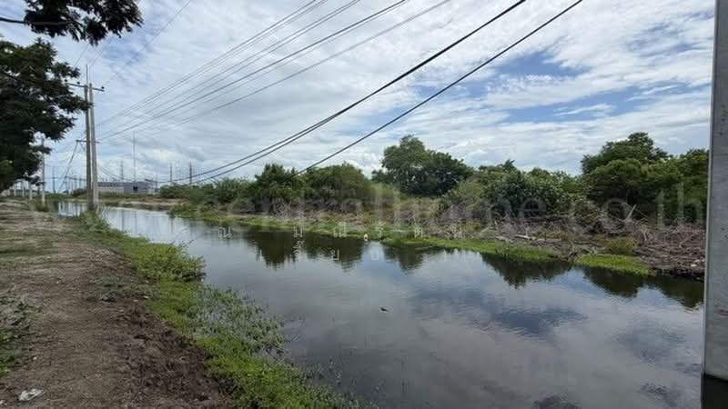 หาดเจ้าสำราญ, Phetchaburi, 3177, Hat Chao Samran, Muang Phetchaburi, Phetchaburi, , 1,272 sqm, Land For Sale, by คุณ มณีรัตน์ ( เจี๊ยบ ), 500430764 - DDproperty.com
