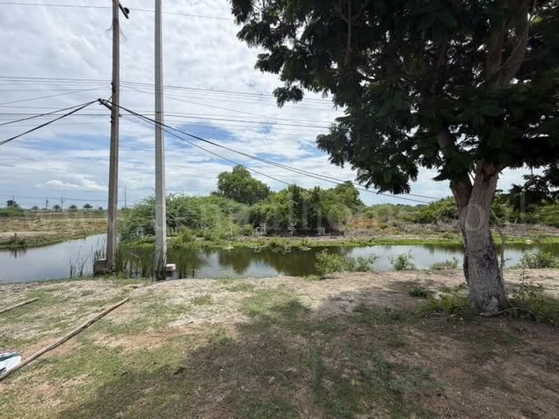 หาดเจ้าสำราญ, Phetchaburi, 3177, Hat Chao Samran, Muang Phetchaburi, Phetchaburi, , 1,272 sqm, Land For Sale, by คุณ มณีรัตน์ ( เจี๊ยบ ), 500430764 - DDproperty.com