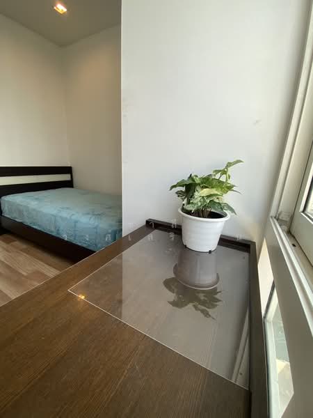 IDEO Verve Sukhumvit, Bangkok, 2077 Sukhumvit Road, Phra Kanong Nua, Watthana, Bangkok, 2 Bedrooms, 44 sqm, Condo For Rent, by Charlie wongsermsin, 500430787 - DDproperty.com