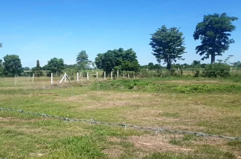 ที่ดินหนองหญ้าไซ สุพรรณบุรี, Suphan Buri, Nong Ya Zai, Nong Ya Sai, Suphan Buri, , 1,600 sqm, Land For Sale, by The Best Property นิ, 500430831 - DDproperty.com