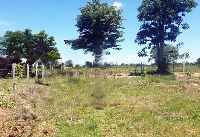 ที่ดินหนองหญ้าไซ สุพรรณบุรี, Suphan Buri, Nong Ya Zai, Nong Ya Sai, Suphan Buri, , 1,600 sqm, Land For Sale, by The Best Property นิ, 500430831 - DDproperty.com