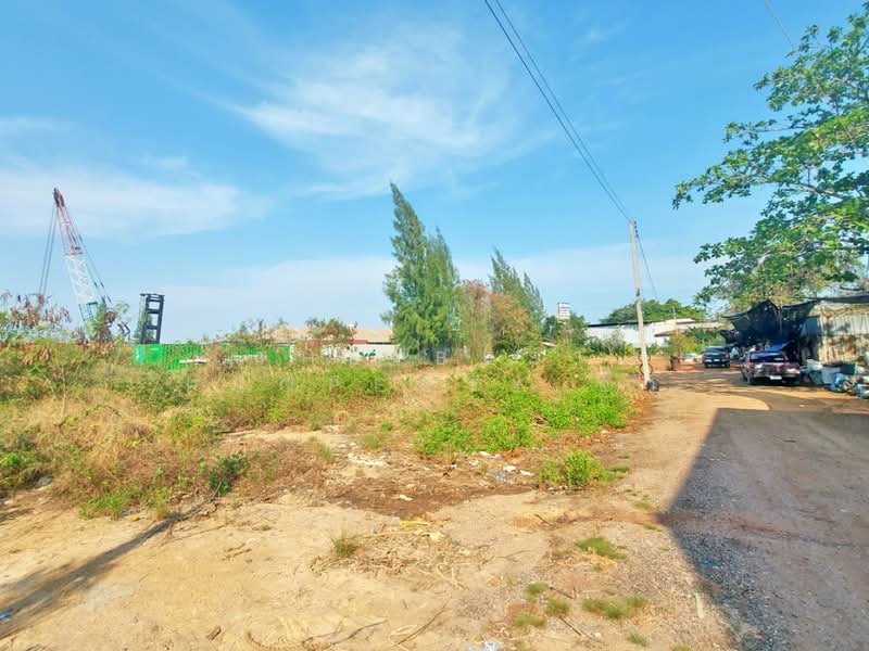 ที่ดินแม่กลอง สมุทรสงคราม, Samut Songkhram, Mae Klong, Muang Samut Songkhram, Samut Songkhram, , 1,928 sqm, Land For Sale, by The Best Property อิ๋ว, 500430832 - DDproperty.com