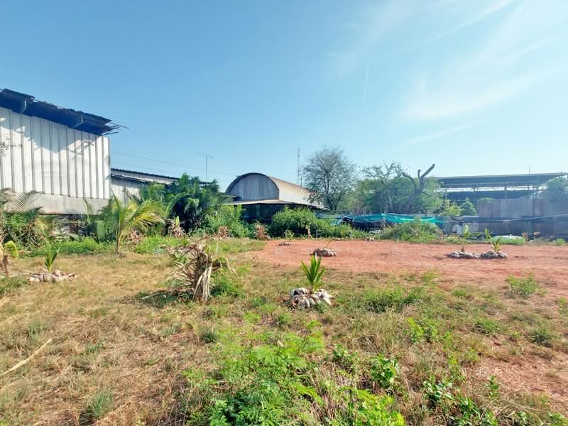 ที่ดินแม่กลอง สมุทรสงคราม, Samut Songkhram, Mae Klong, Muang Samut Songkhram, Samut Songkhram, , 1,928 sqm, Land For Sale, by The Best Property อิ๋ว, 500430832 - DDproperty.com