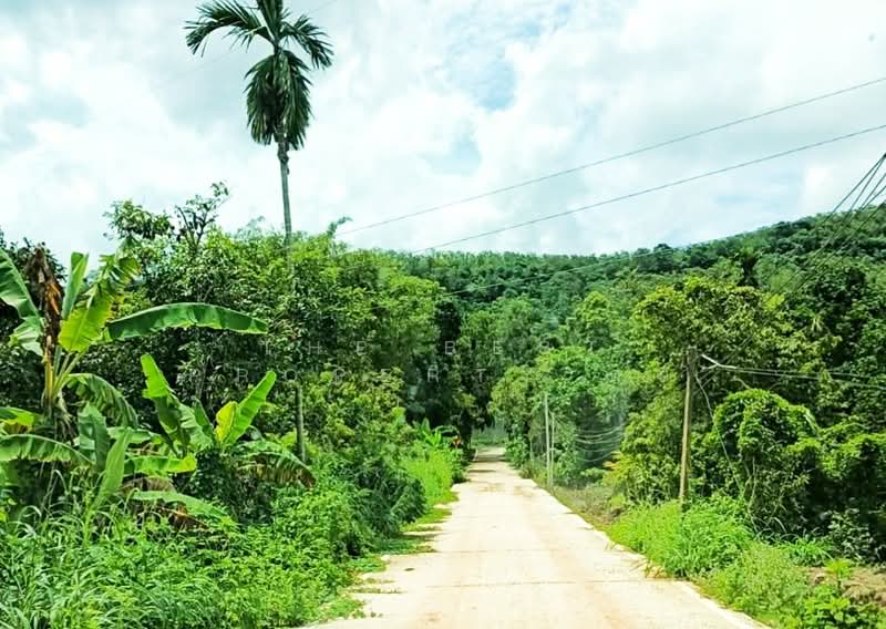 ที่ดินกะเฉด ระยอง, ระยอง, กะเฉด, เมืองระยอง, ระยอง, 16,466 ตร.ม., ที่ดิน ขาย, โดย The Best Property กบ, 500430847 - DDproperty.com
