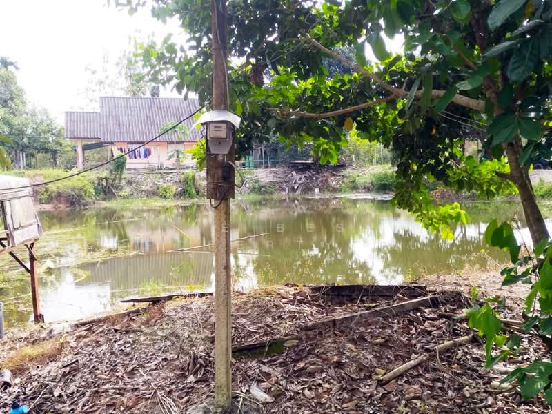 ที่ดินกะเฉด ระยอง, Rayong, Ka Chet, Muang Rayong, Rayong, , 16,466 sqm, Land For Sale, by The Best Property กบ, 500430847 - DDproperty.com
