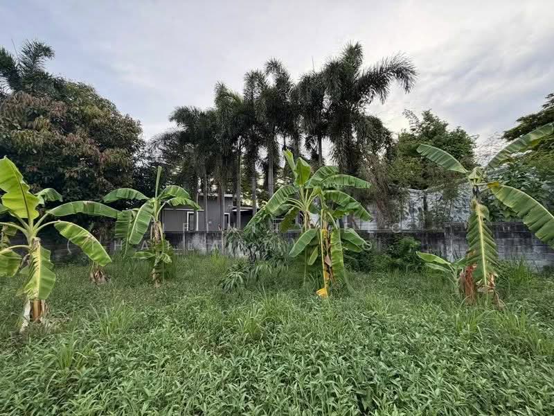 นาพร้าว ศรีราชา, Chon Buri (Pattaya), Surasak, Si Racha, Chon Buri (Pattaya), , 572 sqm, Land For Sale, by Infinity EEC (Thailand) Co., Ltd., 500430871 - DDproperty.com