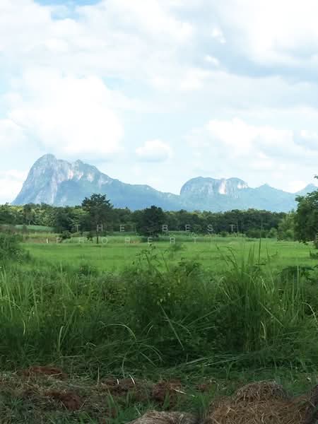 ที่ดินภูกระดึง เลย, เลย, ภูกระดึง, เลย, 9,820 ตร.ม., ที่ดิน ขาย, โดย The Best Property เกรซ, 500430881 - DDproperty.com