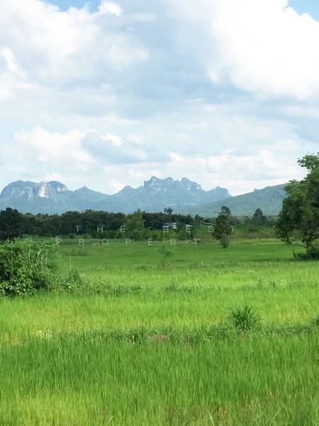 ที่ดินภูกระดึง เลย, เลย, ภูกระดึง, เลย, 9,820 ตร.ม., ที่ดิน ขาย, โดย The Best Property เกรซ, 500430881 - DDproperty.com