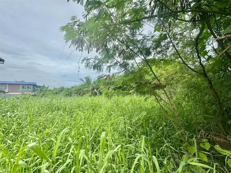 ที่ดินเปล่า 216.4 ตร.ว. ที่ดิน ซอยสุขสวัสดิ์102 ถนนสุขสวัสดิ์ (ซอยร่มเย็นนิเวศน์), Samut Prakan, ถนนสุขสวัสดิ์, Nai Khlong Bang Pla Kot, Phra Samut Jadee, Samut Prakan, , 866 sqm, Land For Sale, by คุณ ฐิชาปัณณ์ สังวาลรัมย์ (ปูน), 500430956 - DDproperty.com