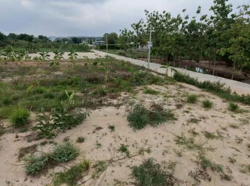 นาพร้าว ศรีราชา, Chon Buri (Pattaya), Surasak, Si Racha, Chon Buri (Pattaya), , 775 sqm, Land For Sale, by Infinity EEC (Thailand) Co., Ltd., 500430982 - DDproperty.com