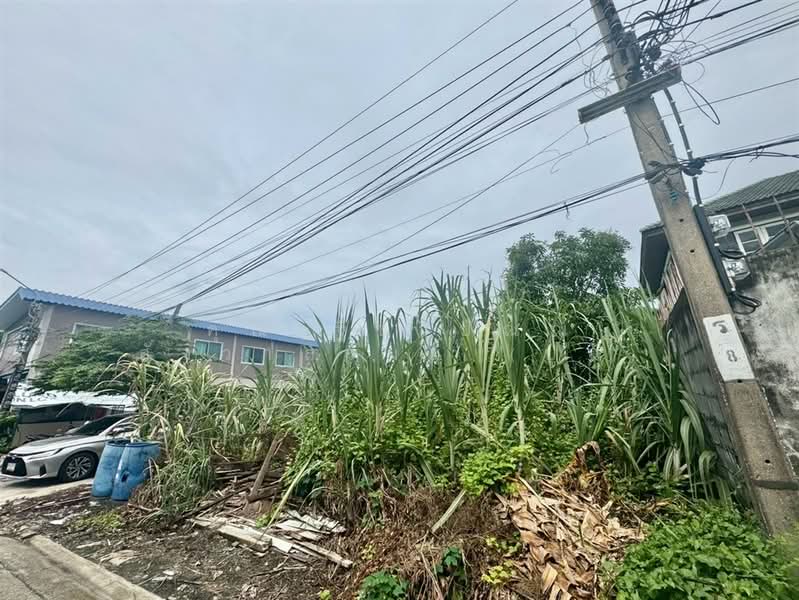 ที่ดินเปล่า 83.3 ตร.ว. ที่ดินเปล่า ซอยสุขสวัสดิ์102 ถนนสุขสวัสดิ์ (ซอยร่มเย็นนิเวศน์), Samut Prakan, ถนนสุขสวัสดิ์, Nai Khlong Bang Pla Kot, Phra Samut Jadee, Samut Prakan, , 333 sqm, Land For Sale, by คุณ ฐิชาปัณณ์ สังวาลรัมย์ (ปูน), 500431028 - DDproperty.com