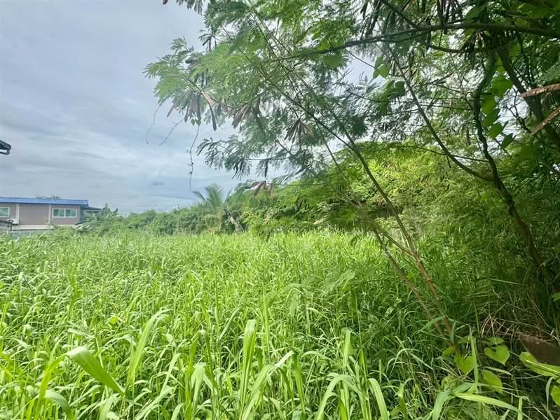ที่ดินเปล่า 63.4 ตร.ว. ที่ดินเปล่า ซอยสุขสวัสดิ์102 ถนนสุขสวัสดิ์ (ซอยร่มเย็นนิเวศน์), สมุทรปราการ, ถนนสุขสวัสดิ์, ในคลองบางปลากด, พระสมุทรเจดีย์, สมุทรปราการ, 254 ตร.ม., ที่ดิน ขาย, โดย คุณ ฐิชาปัณณ์ สังวาลรัมย์ (ปูน), 500431053 - DDproperty.com