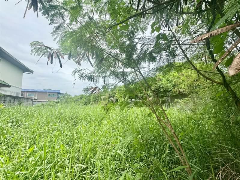 ที่ดินเปล่า 63.4 ตร.ว. ที่ดินเปล่า ซอยสุขสวัสดิ์102 ถนนสุขสวัสดิ์ (ซอยร่มเย็นนิเวศน์), Samut Prakan, ถนนสุขสวัสดิ์, Nai Khlong Bang Pla Kot, Phra Samut Jadee, Samut Prakan, , 254 sqm, Land For Sale, by คุณ ฐิชาปัณณ์ สังวาลรัมย์ (ปูน), 500431053 - DDproperty.com