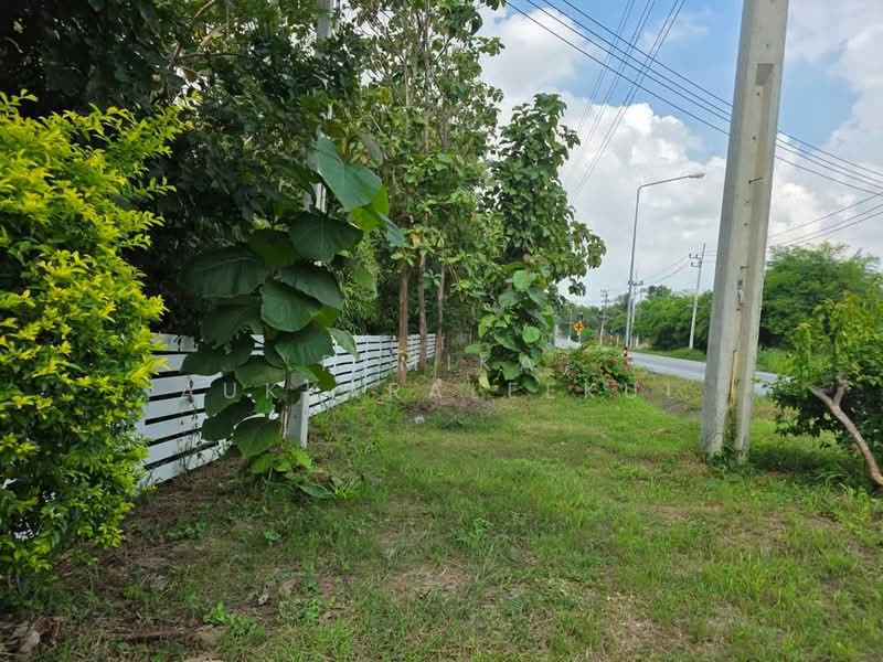 2-BR House, Bangkok, Praborommaharatchawang, Phra Nakhon, Bangkok, 2 Bedrooms, 93 sqm, Single Detached House For Sale, by Pemika Aukkaraleekul, 500431169 - DDproperty.com