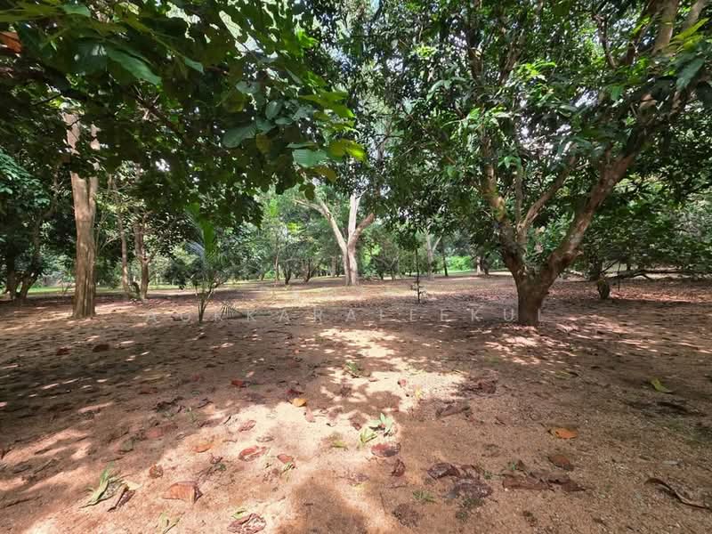 2-BR House, Bangkok, Praborommaharatchawang, Phra Nakhon, Bangkok, 2 Bedrooms, 93 sqm, Single Detached House For Sale, by Pemika Aukkaraleekul, 500431169 - DDproperty.com