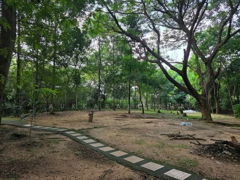 บ้าน 2-ห้องนอน, กรุงเทพ, พระบรมมหาราชวัง, พระนคร, กรุงเทพ, 93 ตร.ม., บ้านเดี่ยว ขาย, โดย Pemika Aukkaraleekul, 500431169 - DDproperty.com