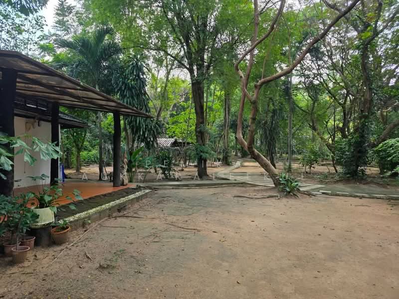 2-BR House, Bangkok, Praborommaharatchawang, Phra Nakhon, Bangkok, 2 Bedrooms, 93 sqm, Single Detached House For Sale, by Pemika Aukkaraleekul, 500431169 - DDproperty.com