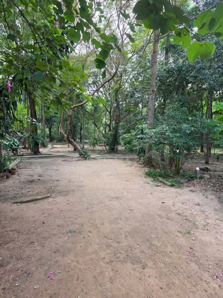 บ้าน 2-ห้องนอน, กรุงเทพ, พระบรมมหาราชวัง, พระนคร, กรุงเทพ, 93 ตร.ม., บ้านเดี่ยว ขาย, โดย Pemika Aukkaraleekul, 500431169 - DDproperty.com