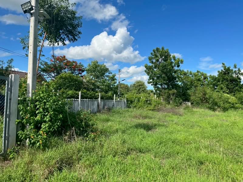 ที่ดินอู่ทอง สุพรรณบุรี, Suphan Buri, Don Ka, U Thong, Suphan Buri, , 1,605 sqm, Land For Sale, by The Best Property แอ้, 500431292 - DDproperty.com