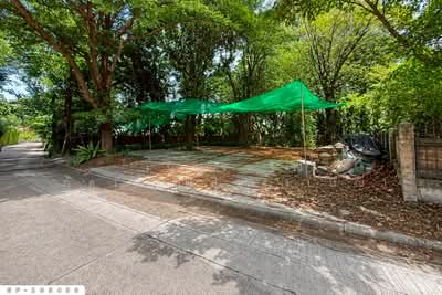 ขาย - ที่ดินโครงการหมู่บ้านชลลดา 206 ตร.ว. บางบัวทอง นนทบุรี ใกล้สำนักงานเทศบาลนครบางบัวทอง GF-105496, นนทบุรี