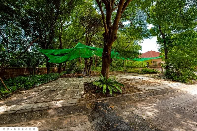 ที่ดินโครงการหมู่บ้านชลลดา 206 ตร.ว. บางบัวทอง นนทบุรี ใกล้สำนักงานเทศบาลนครบางบัวทอง GF-105496, นนทบุรี, บางรักพัฒนา, บางบัวทอง, นนทบุรี, 824 ตร.ม., ที่ดิน ขาย, โดย เบ็ญจวริณ ภัคเวทพิสิษฐ์(เบ็ญ), 500431297 - DDproperty.com