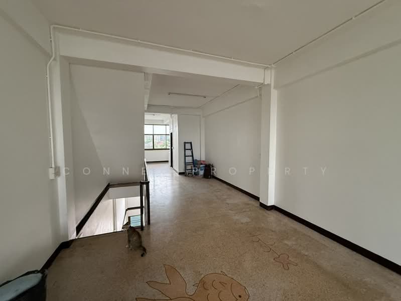 Shophouse Srinakarin 38, Bangkok, ศรีนครินทร์, Nong Bon, Prawet, Bangkok, , 300 sqm, Shophouse For Rent, by Connex Property, 500431352 - DDproperty.com