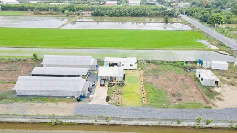 ที่ดิน + สิ่งปลูกสร้าง 25 ไร่ 346 ตร.ว. โคโค่นาน่าฟาร์ม ถนนรังสิต-นครนายก, ปทุมธานี, ถนนรังสิต-นครนายก, บึงทองหลาง, ลำลูกกา, ปทุมธานี, 41,384 ตร.ม., ที่ดิน ขาย, โดย คุณ เขมจิรา ภูวภาณุภรณ์ (เป้), 500431633 - DDproperty.com