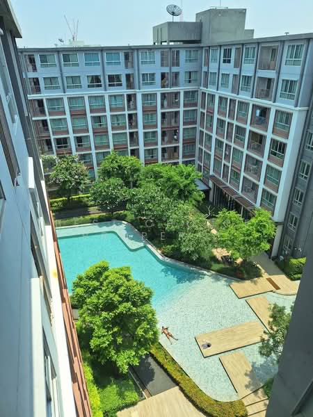Dcondo Ping, Chiang Mai, 243 Super Highway Road Chiang Mai - Lampang, Fa Ham, Muang Chiang Mai, Chiang Mai, 1 Bedroom, 37 sqm, Condo For Rent, by Best Choice Property, 500431744 - DDproperty.com