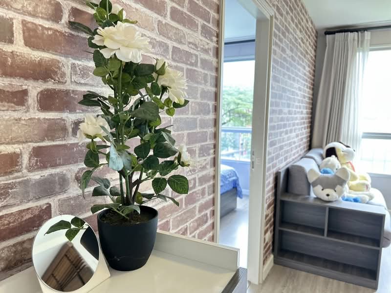 Dcondo Ping, Chiang Mai, 243 Super Highway Road Chiang Mai - Lampang, Fa Ham, Muang Chiang Mai, Chiang Mai, 1 Bedroom, 30 sqm, Condo For Rent, by The Positive ที่ดิน บ้าน คอนโด, 500431785 - DDproperty.com