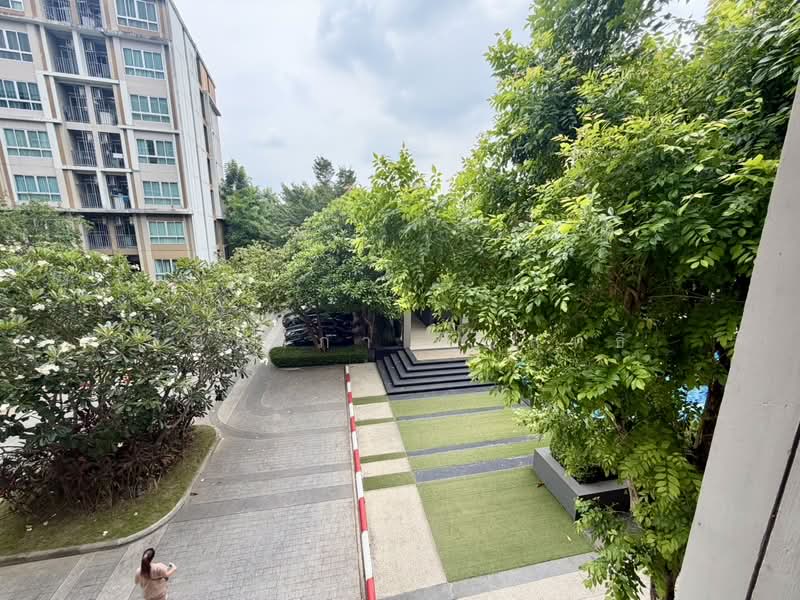 Dcondo Karnjanavanich Hatyai : ดีคอนโด กาญจนวนิช หาดใหญ่, สงขลา, ถนน กาญจนวนิช, คอหงส์, หาดใหญ่, สงขลา, 30 ตร.ม., คอนโด ให้เช่า, โดย ชนิดาภา กัณสุทธิ์, 500431810 - DDproperty.com
