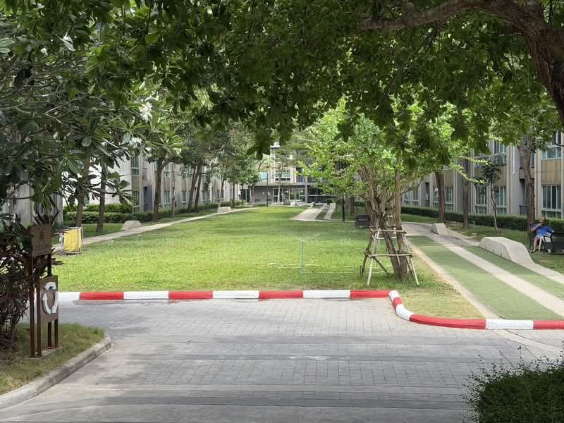 Dcondo Karnjanavanich Hatyai, Songkhla, Kanjanavanich Road, Kho Hong, Hat Yai, Songkhla, 1 Bedroom, 30 sqm, Condo For Rent, by ชนิดาภา กัณสุทธิ์, 500431810 - DDproperty.com